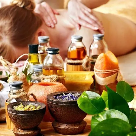 Massage Mit Sauna Und Jakuzzi 招待所 *