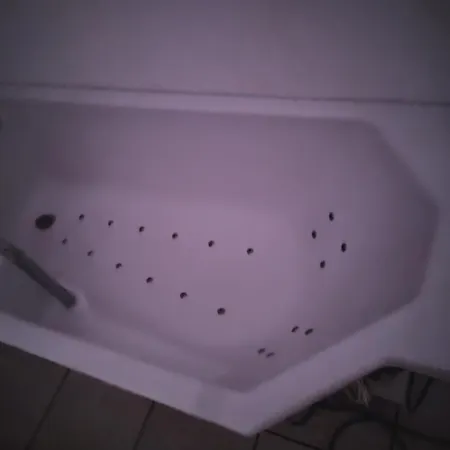 Massage Mit Sauna Und Jakuzzi Bischofsheim